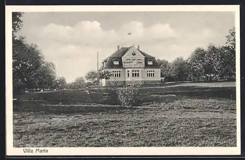 AK Buss /Falkenhagen, Preddöhl, Hotel Villa Maria