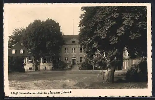 AK Binenwalde über Neuruppin, Schloss am Kalk-See, Pension Fester