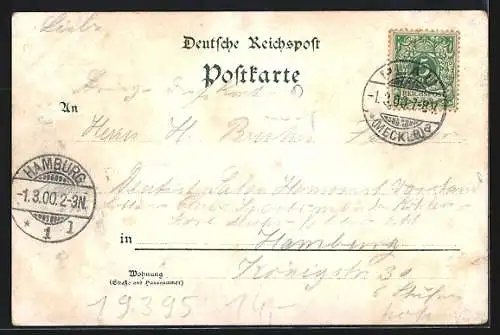 Lithographie Plau, Friedenseichen, Seeseite mit Schulhaus, Burg & Krankenhaus