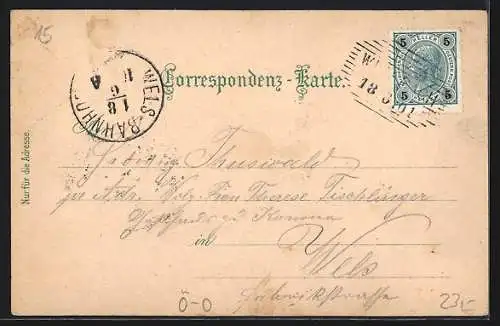 Lithographie Wimsbach /Ob.-Oesterr., Schloss, Kirche, Totalansicht