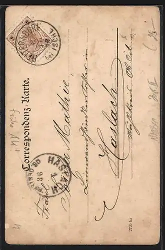 AK Ischl, Totalansicht gegen die Berge, Edelweiss