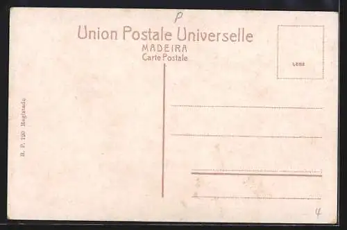 AK Funchal /Madeira, Panorama