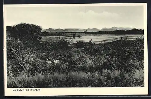 AK Deutsch-Südwest-Afrika, Landschaft mit Flussbett