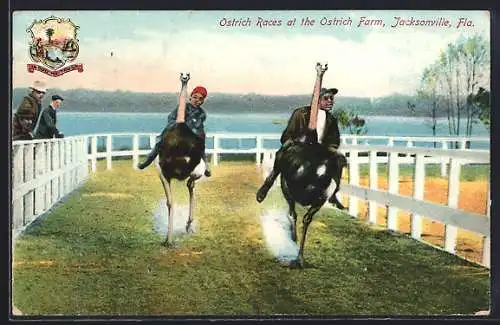 AK Ostrich Races at the Ostrich Farm Jacksonville, Fla.