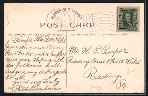 AK Ostrich Races at the Ostrich Farm Jacksonville, Fla.