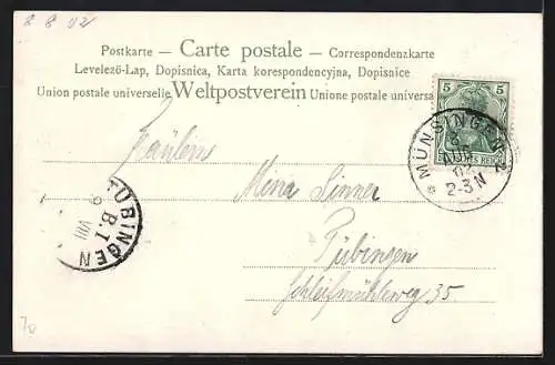 Lithographie Münsingen, Truppenübungsplatz, Ludwigshöhe, Restaurant Manz, Hotel Fezer