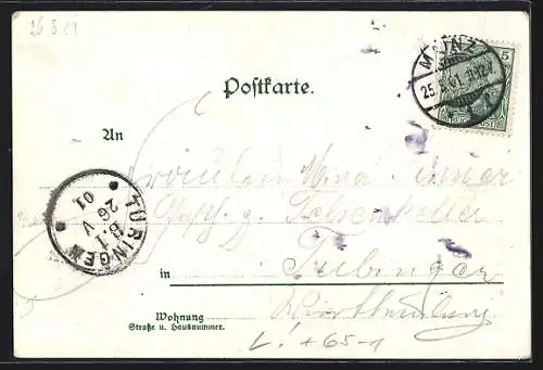 Lithographie Mainz, Bahnhof, Dom und Gutenberg Denkmal, Schloss mit Museum