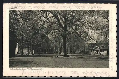 AK Friedrichsberg / Abstwind, Bank um einen Baum im Park