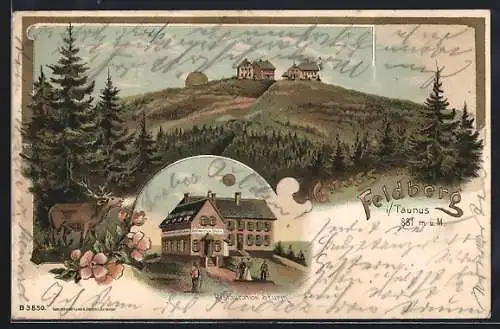 Lithographie Feldberg / Taunus, Restaurant Sturm und Blick auf den Feldberg