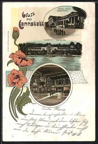 Lithographie Cannstatt, Wilhelma, Innenansicht, Königliche Villa Rosenstein