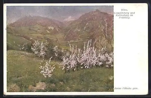 Künstler-AK Brüder Kohn (B.K.W.I) Nr. 854-10: Wien, Leopoldsberg und Kahlenberg im Frühling