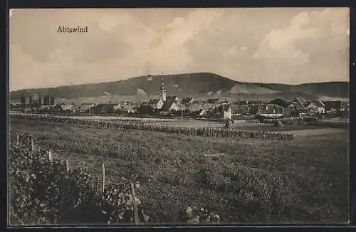 AK Abtswind, Teilansicht mit Weinstöcken