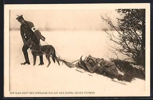 AK Sanitätshund zieht Verwundeten auf den Skiern seines Führers