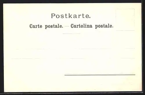 Lithographie Brienz, Axalp, Ortsansicht in den Bergen, Seepartie