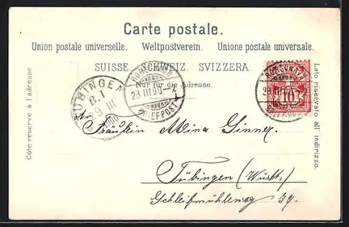 Lithographie Rorschach, Neue kath. Kirche, Hafen, Ortsansicht