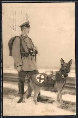 AK Sanitätshund mit Ausrüstung und Soldat in Uniform