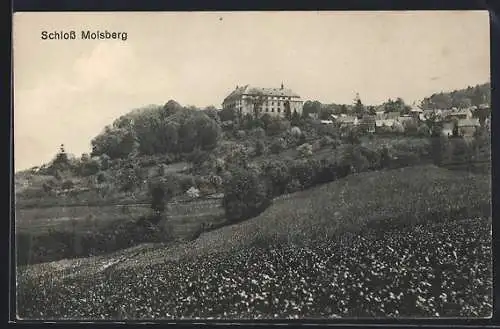 AK Molsberg, Schloss Molsberg