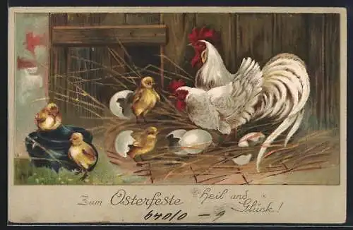 AK Hühnerpaar mit frisch geschlüpften Küken, Ostergruss