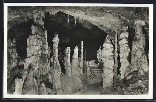 AK Nebelhöhle Genkingen-Unterhausen, Stalagmiten