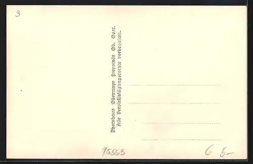 AK Freistadt /O. Oe., Teilansicht mit Kirche