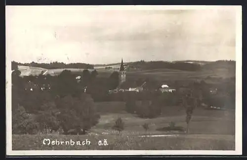 AK Mehrnbach /O. Ö., Ortspartie mit Kirche