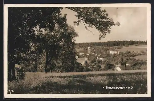 AK Taiskirchen /O.Ö., Ortsansicht von einer Anhöhe aus