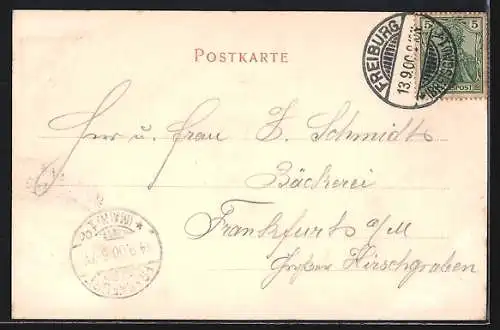 AK Strassburg, Störche im Horst