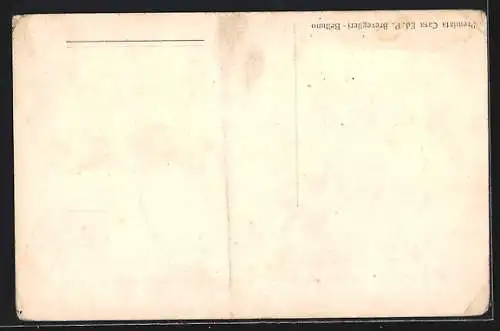 AK Pieve di Livinallongo, Panorama distrutta dagli austriaci 1915