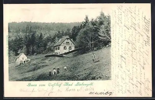 AK Liebenzell, Gaststätte Cafehof Bad Liebenzell mit Umgebung, mit Trachtengruppe