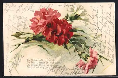AK Die Blumen voller Harmonie..., Rote und weisse Nelken