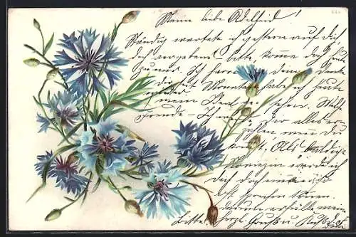 AK Blühende Kornblumen mit Knospen