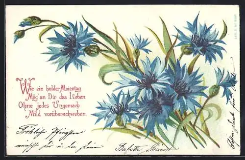 AK Wie ein holder Maientag, Mög` an Dir das Leben..., Kornblumen