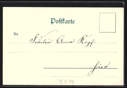 AK Kornblumen in Blüte