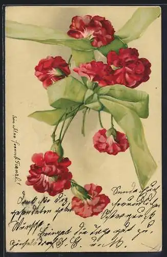 AK Nelken mit einer grünen Schleife