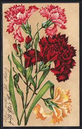 Präge-AK Rote, rosafarbene und gelbe Nelken