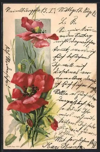 AK Mohnblumen mit Knospen