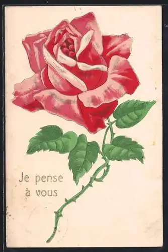 AK Grosse rosa-farbene Rose