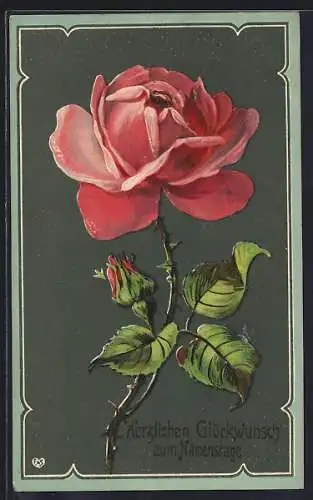 AK Rose mit grosser Blüte und einer Knospe