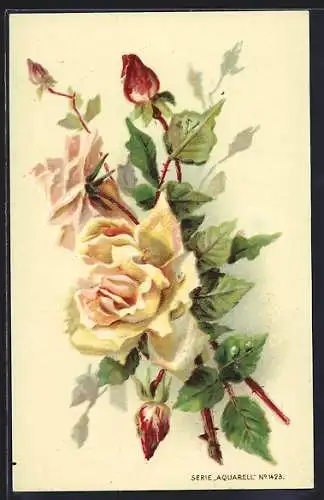 AK Strauch gelber Rosen, zwei Blüten und mehrere Knospen