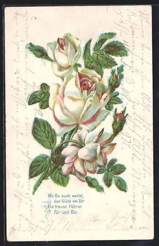 AK Strauch weisser Rosen, drei Blüten und drei Knospen