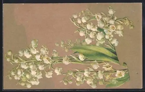 Präge-AK Maiglöckchen in voller Blüte