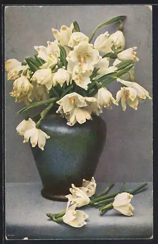 AK Schneeglöckchen in einer Vase