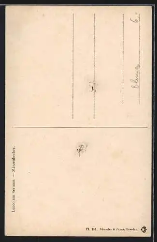 AK Schneeglöckchen in einer Vase