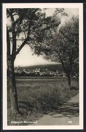 AK Eisenstadt im Burgenland, Panorama der Stadt von der Strasse aus