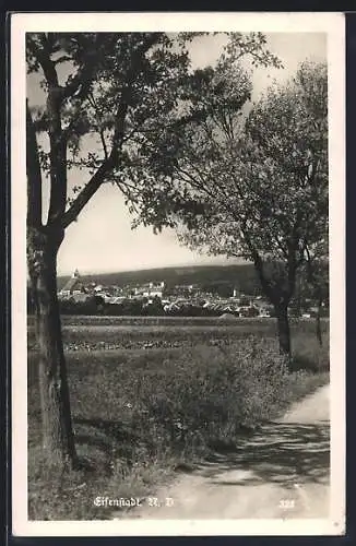 AK Eisenstadt im Burgenland, Panorama der Stadt von der Strasse aus