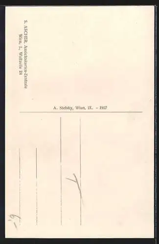 AK Fieberbrunn, Ortsansicht