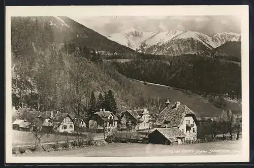 AK Dörfl bei Edlach, Ortsansicht gegen Schneeberg