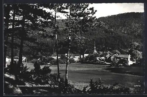 AK Raisenmarkt /N.-Ö., Ortspanorama vom Waldrand aus