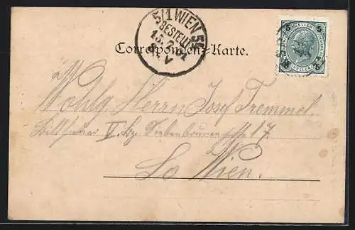 AK Aspang, Ortsansicht mit Bergpanorama aus der Vogelschau