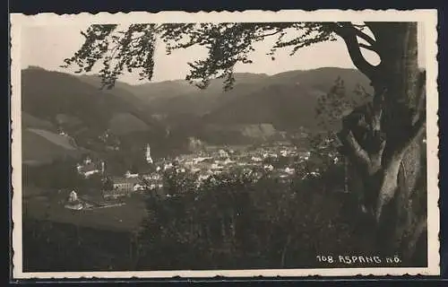AK Aspang /N.-Ö., Gesamtansicht mit Bergpanorama aus der Vogelschau